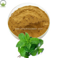 Natural Peppermint Leaf Extract Powder 20:1